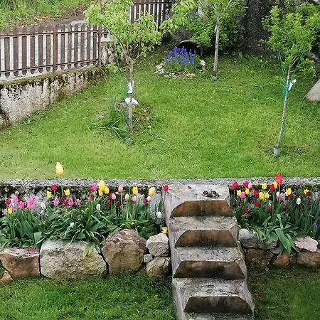 Villa Matilda *